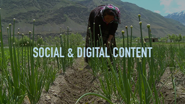 Social & Digital Content