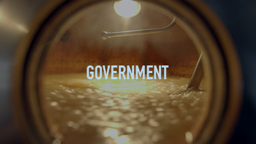 Government